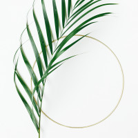 예뻐지는 예쁜앰플 썸네일 3